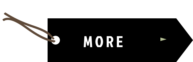 MORE